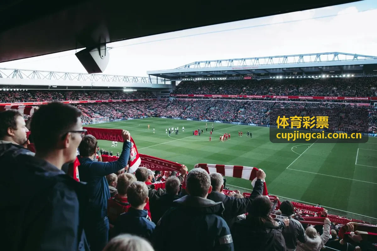 体育彩票赛场兴趣与理性参与场景