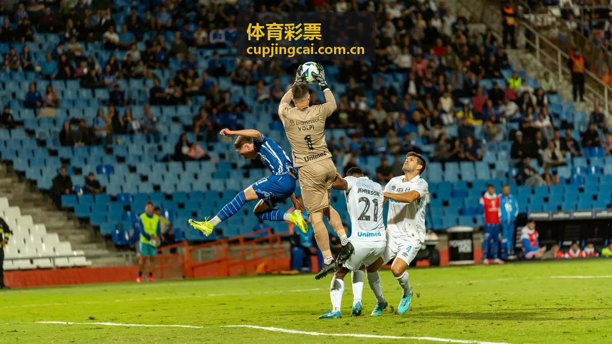 体育彩票参与规则与票面信息参考